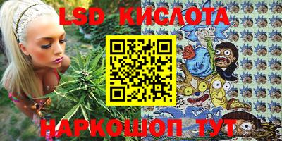 сатива Краснокаменск